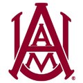 南查理斯顿大学