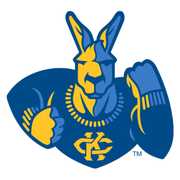 德克萨斯大学